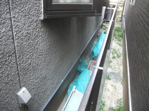 DSCF2644